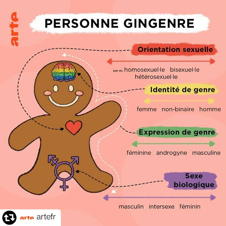 Infographie "Personne gingenre" (Description détaillée ci-après)